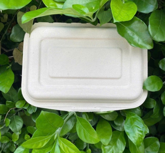 Sản phẩm bã mía