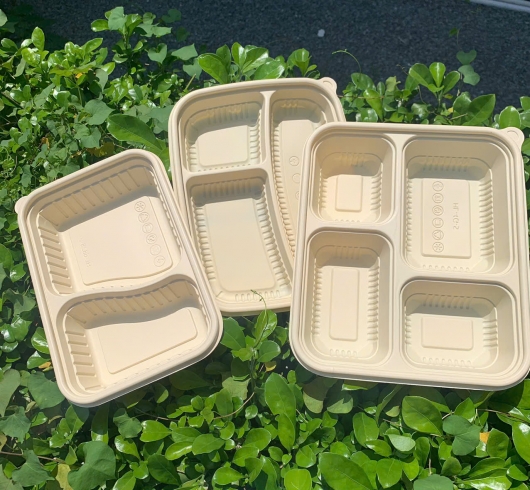 Sản Phẩm Phân Hủy Sinh Học