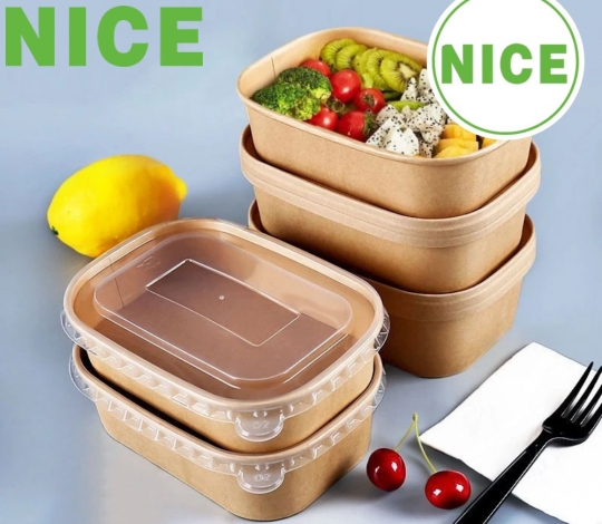 Tô giấy hình chữ nhật