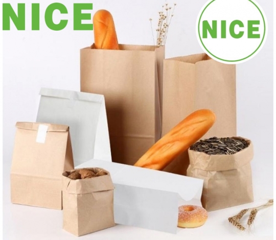 Túi giấy Kraft đáy bằng