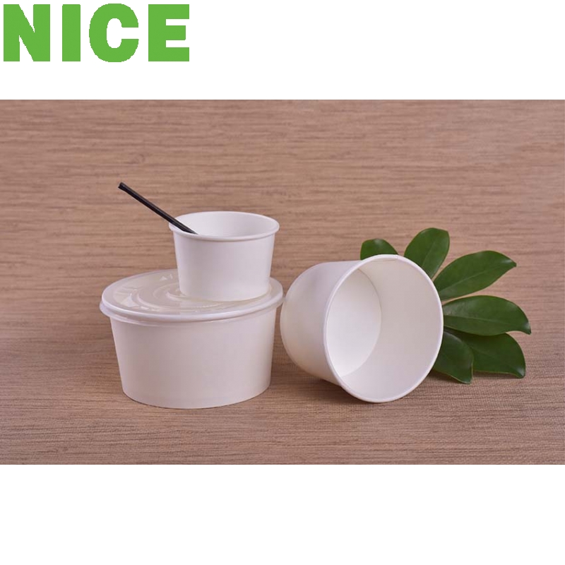 Tô giấy Pla