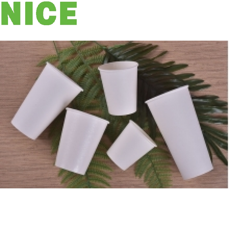 Ly Giấy PLA  Tự Phân Hủy 