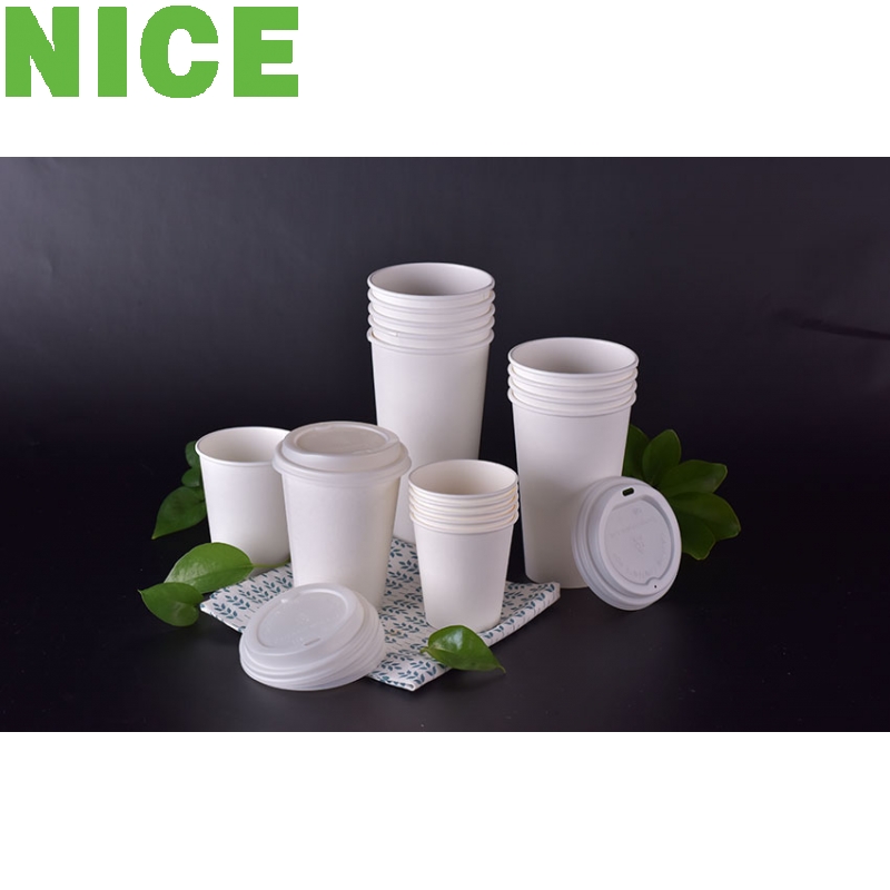 Ly Giấy PLA  Tự Phân Hủy 