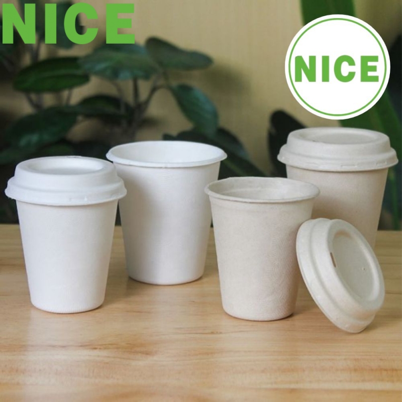 Ly và nắp bã mía 