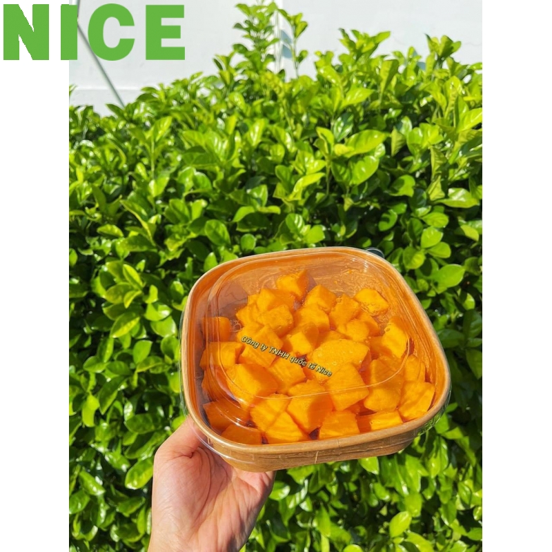 Tô giấy hình vuông