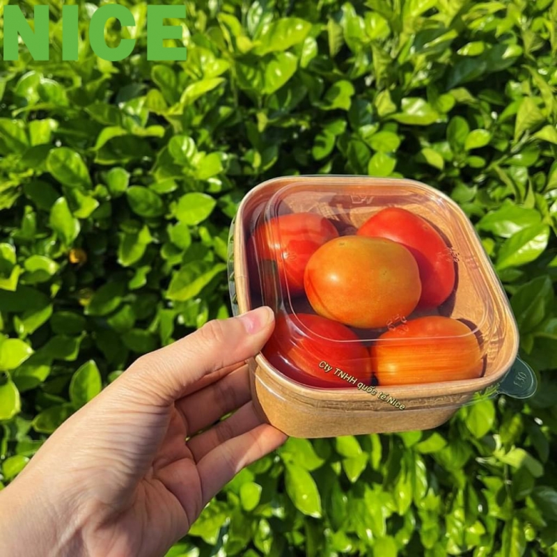 Tô giấy hình vuông
