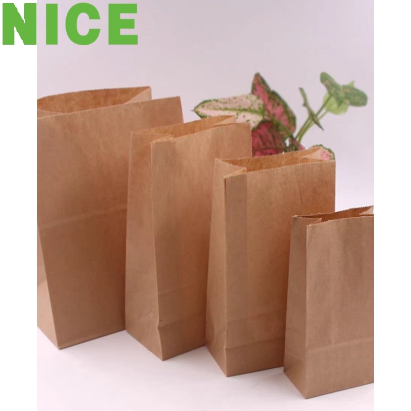 Túi giấy Kraft đáy bằng