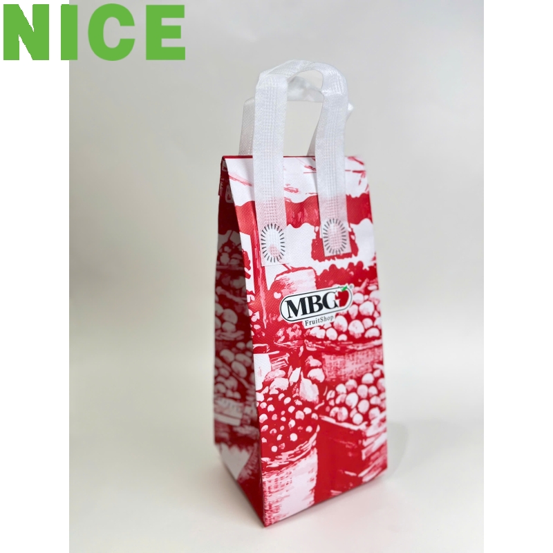 Túi giữ nhiệt 2 ly