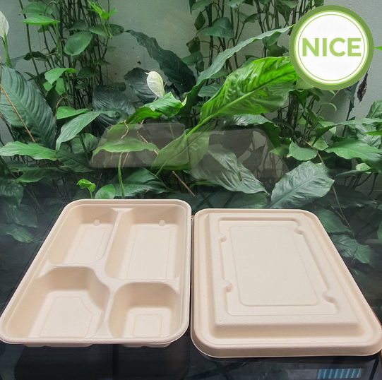 Khay bã mía nhiều ngăn Khay bã mía nhiều ngăn