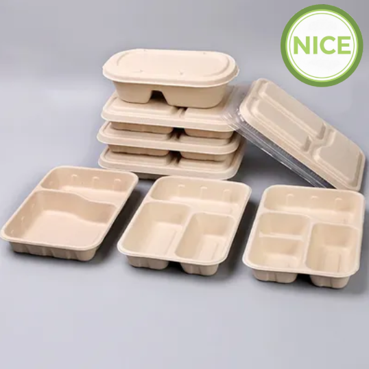 Khay bã mía nhiều ngăn bao bì thân thiện môi trường