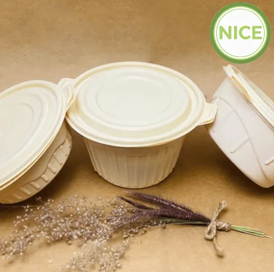 Sản phẩm bột ngô tự phân hủy - Ảnh 5