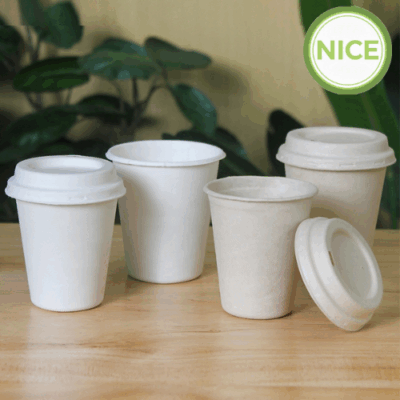 Ly và nắp bã mía