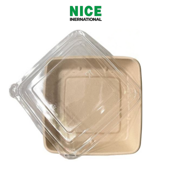 Tô bã mía vuông 1 Tô bã mía vuông