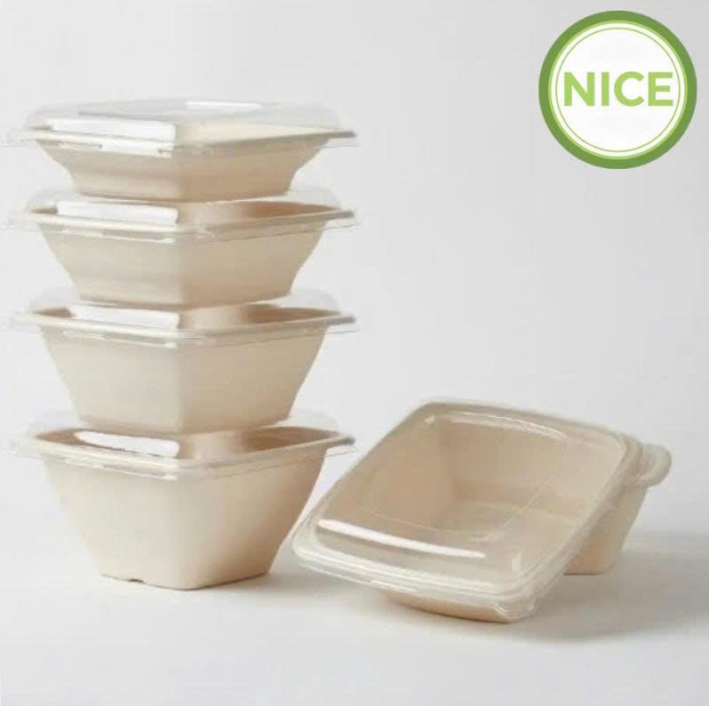 Tô bã mía vuông 4 Tô bã mía vuông