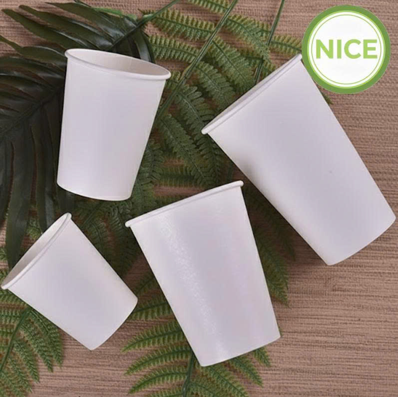 Ly giấy PLA tự phân hủy Ly giấy PLA tự phân hủy