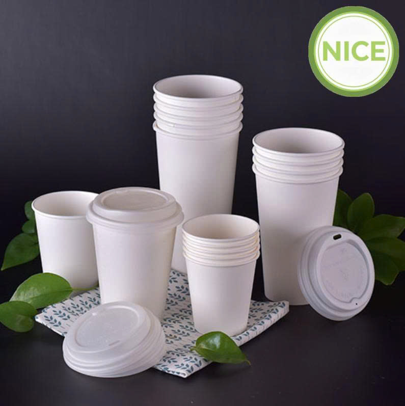 Ly giấy PLA tự phân hủy Ly giấy PLA tự phân hủy