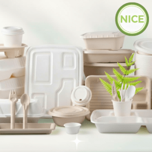 Dụng cụ phối kèm từ bã mía