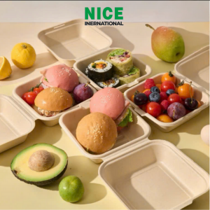 Hộp bã mía nắp gập