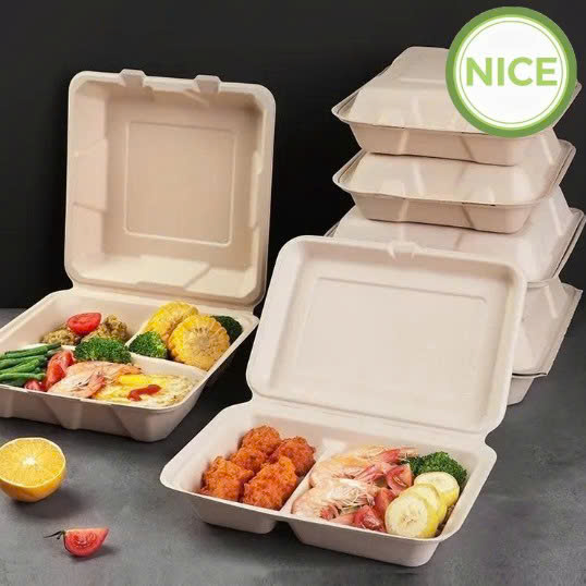 Sản phẩm bã mía