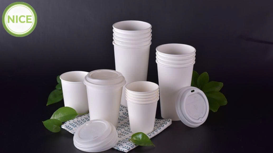 Ly PLA phân hủy sinh học