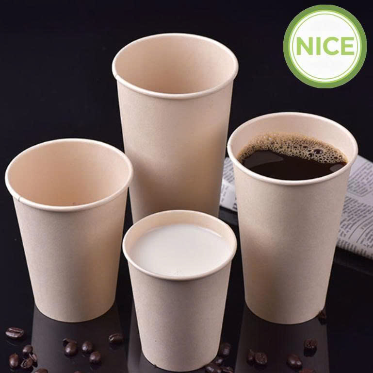 Ly giấy tre Ly giấy tre