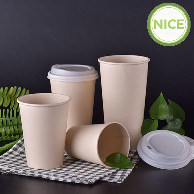 Ly giấy tre Ly giấy tre