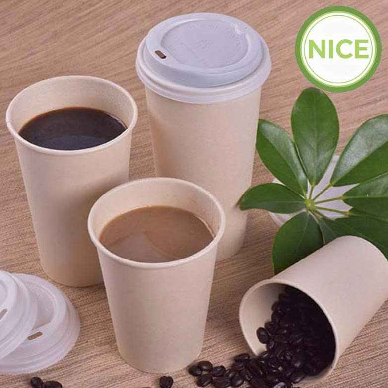 Ly giấy tre Ly giấy tre