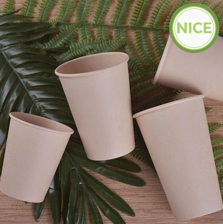 Ly giấy tre Ly giấy tre