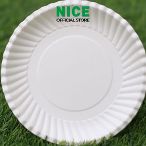 Alternative view of Dĩa giấy