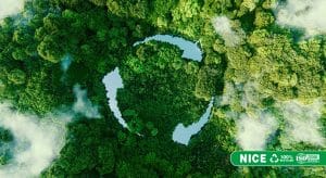 Ly Giay Co Tai Che Duoc Khong Su That Va Giai Phap Bao Bi Xanh Cho Nganh FB