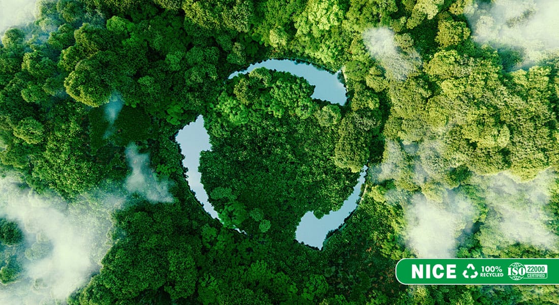 Ly Giay Co Tai Che Duoc Khong Su That Va Giai Phap Bao Bi Xanh Cho Nganh FB